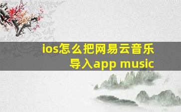 ios怎么把网易云音乐导入app music